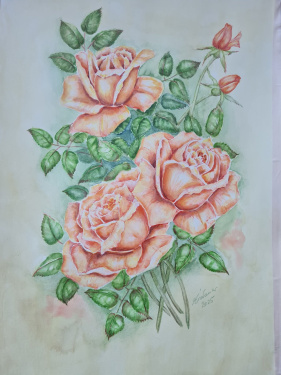 Rosen