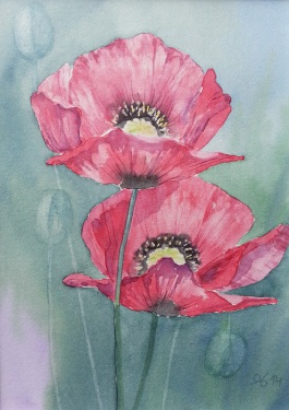 Mohn