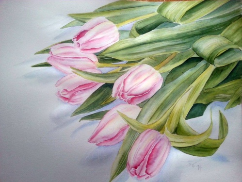 Tulpen
