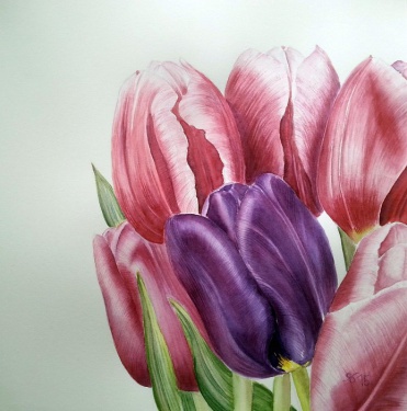 Tulpen