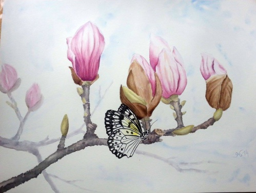 Magnolien