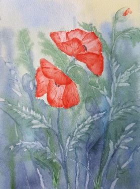 Mohn