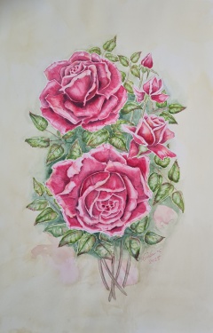 5 Rosen